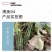 博美94甜瓜种子，肉厚腔小口感好，含糖18度，抗病能力强