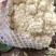 青梗有机花菜松花菜漳州基地一手货源实力代办一条龙服务