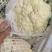 青梗有机花菜松花菜漳州基地一手货源实力代办一条龙服务