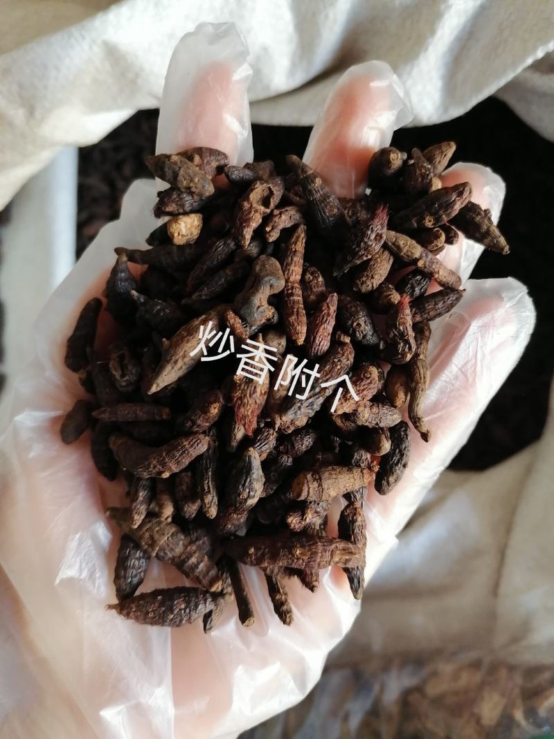香附个各种中药材批发质量保证产地直销香附