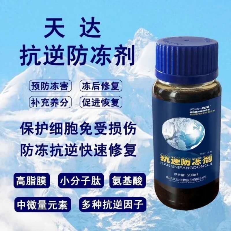 天达2116植物抗逆防冻剂果蔬抗寒稳态剂预防修复冻害活性