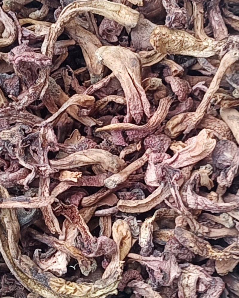 红蘑条自然干精品条都是小丁条没有大黑头