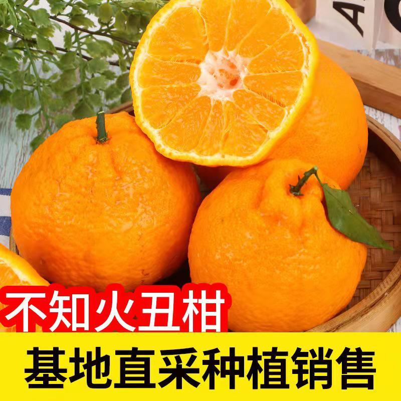 四川不知火丑桔橘一件代发产地仓库直供批发包邮