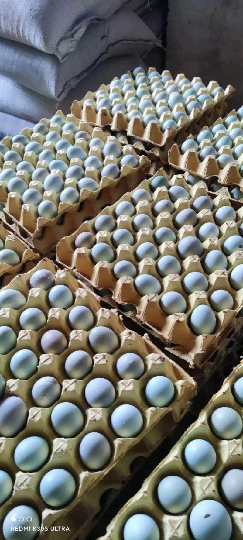 初生蛋开产蛋开窝蛋土鸡蛋原场直发量大价更优