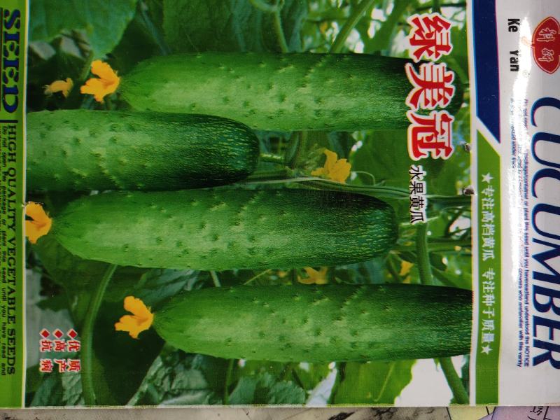绿美冠水果黄瓜种子。高产瓜长20公分左右浅绿色，瓜皮淡绿