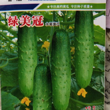 绿美冠水果黄瓜种子。高产瓜长20公分左右浅绿色，瓜皮淡绿