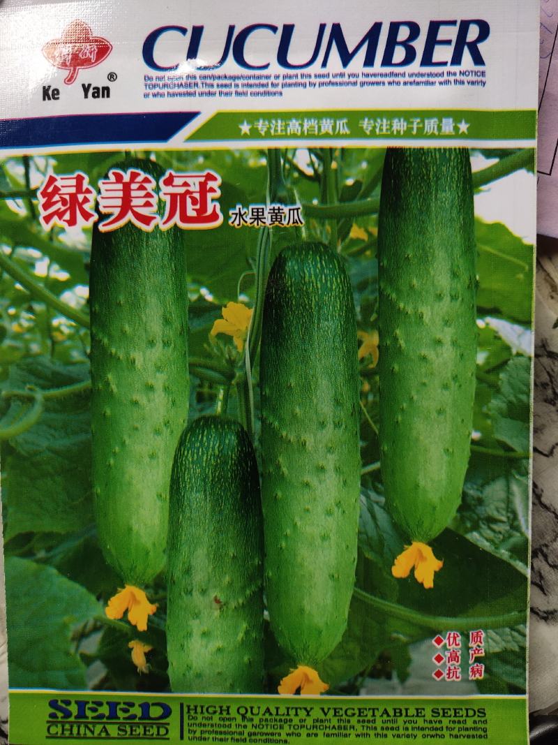 绿美冠水果黄瓜种子。高产瓜长20公分左右浅绿色，瓜皮淡绿