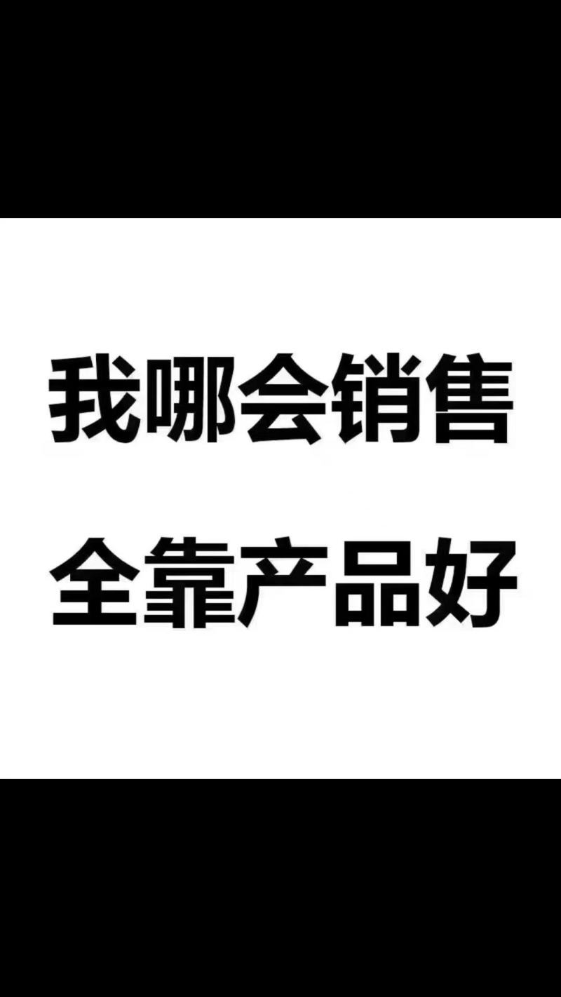 宁夏优质精品自然干玉米需要朋友量大从优