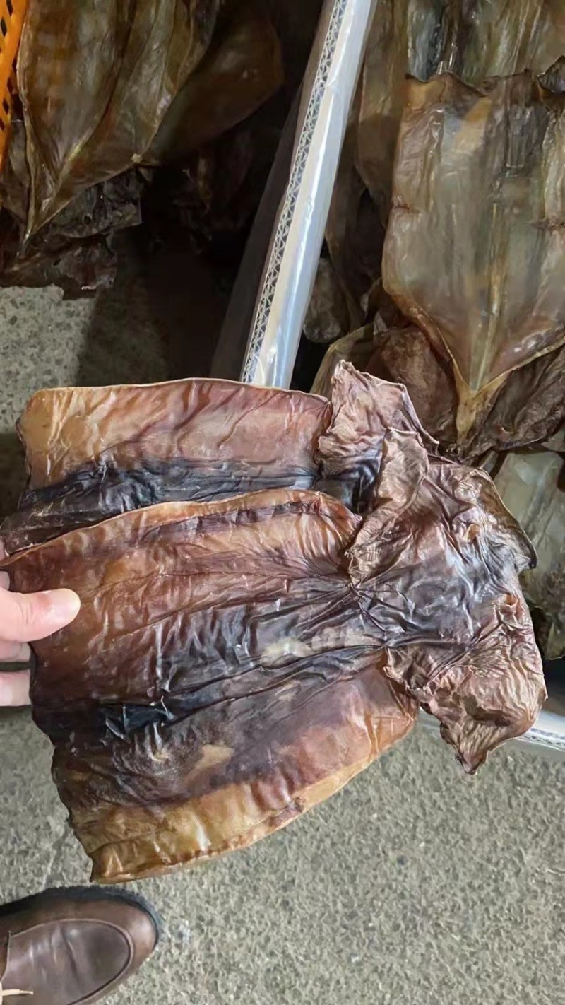 淡干水发鱿鱼！干度9成以上！水发一斤可以出5.2斤！