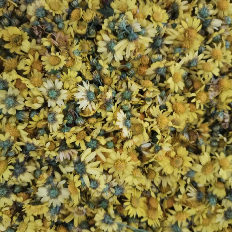 野生菊花存手工採摘有需要的联系我价格给力
