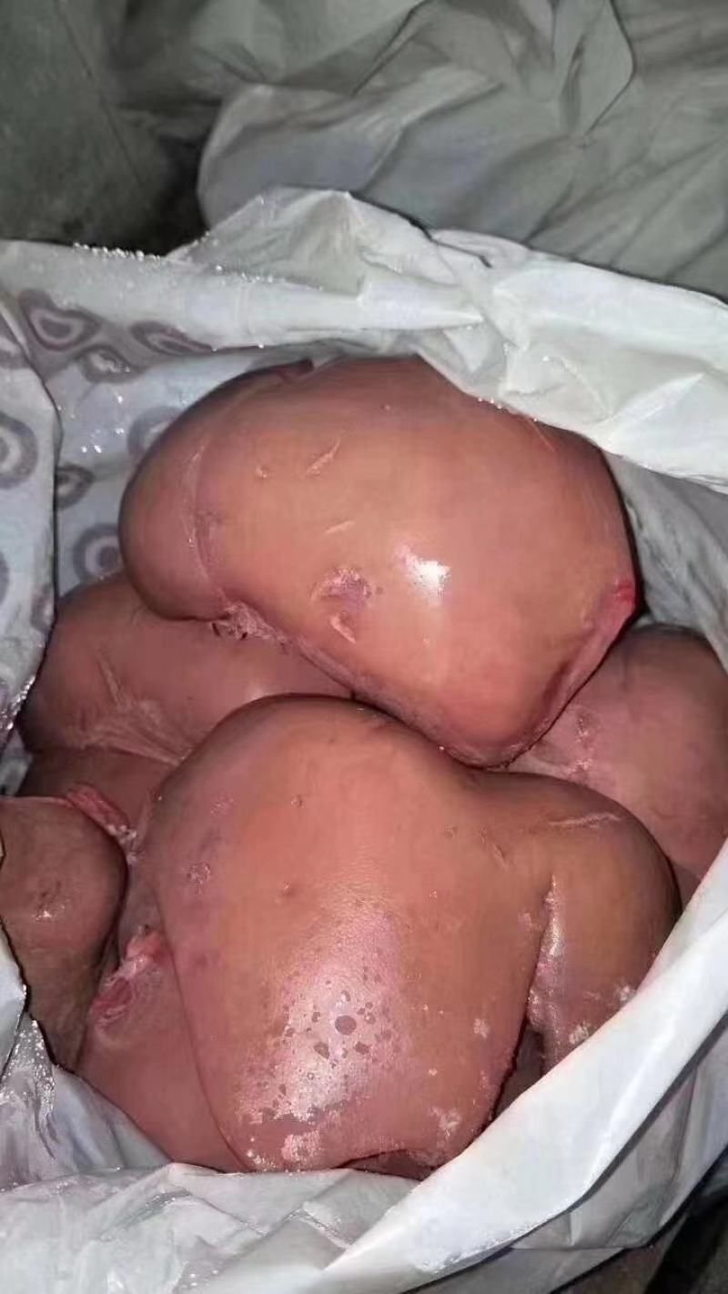 全熟羊心肺一件二十五斤