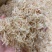 自晒虾皮樱花虾皮水晶虾皮樱花虾米招代理一件代发
