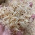 自晒虾皮樱花虾皮水晶虾皮樱花虾米招代理一件代发