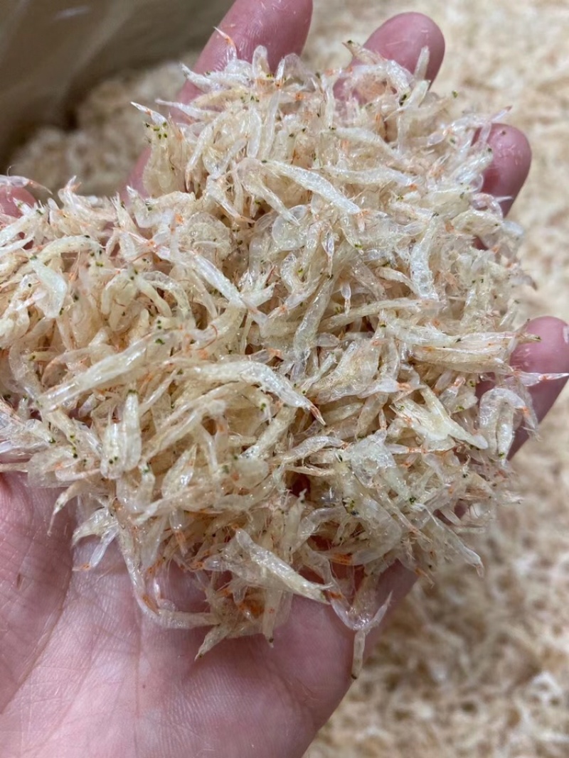 自晒虾皮樱花虾皮水晶虾皮樱花虾米招代理一件代发