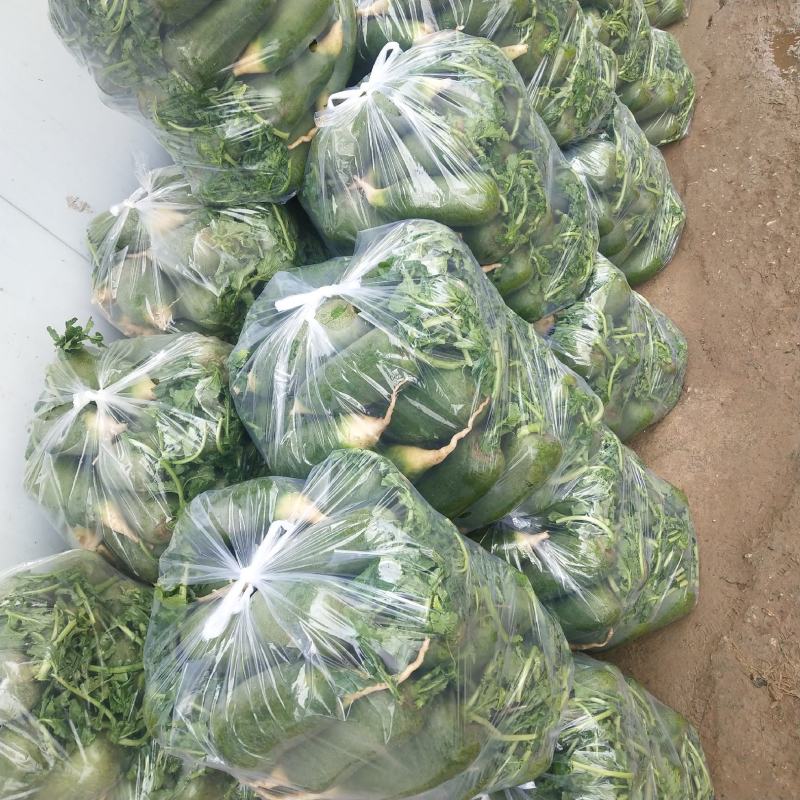 萝卜大量上市，