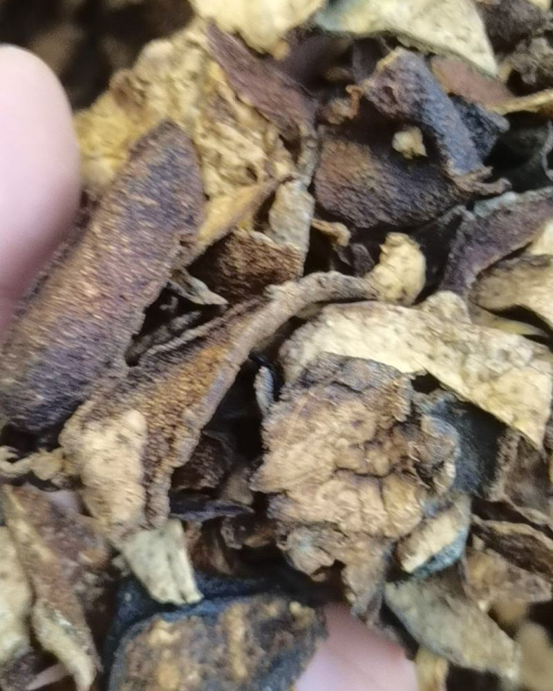 新会陈皮断碎颗粒特价大货批发零售常年大货现货供应