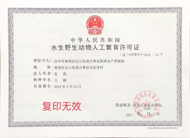 仿生态养殖娃娃鱼手续齐全，每天下午5点前下单的当天全发走