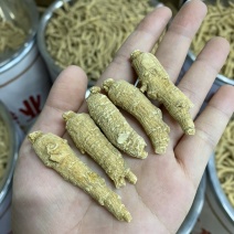 西洋参6年国产花旗参条精选老货非西洋参片批发代发