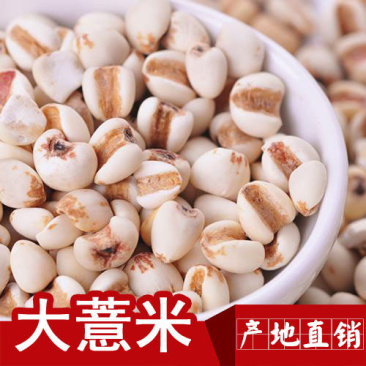 【贵州产地直发】正宗贵州大薏米新货薏仁米干净无杂质包邮