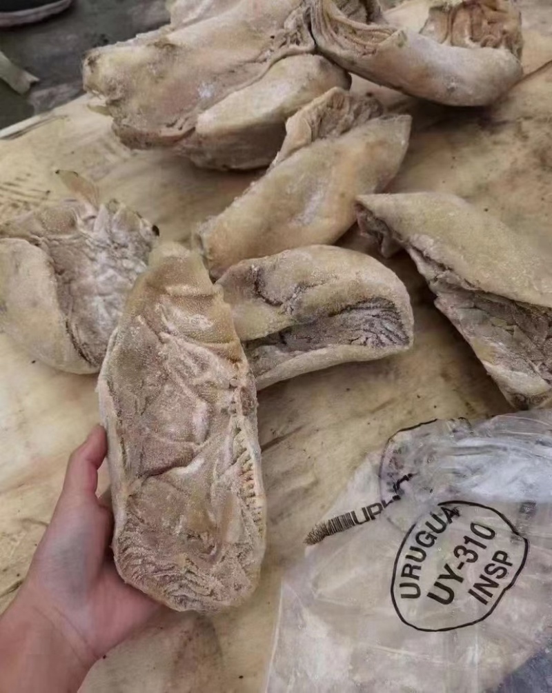 百叶现货