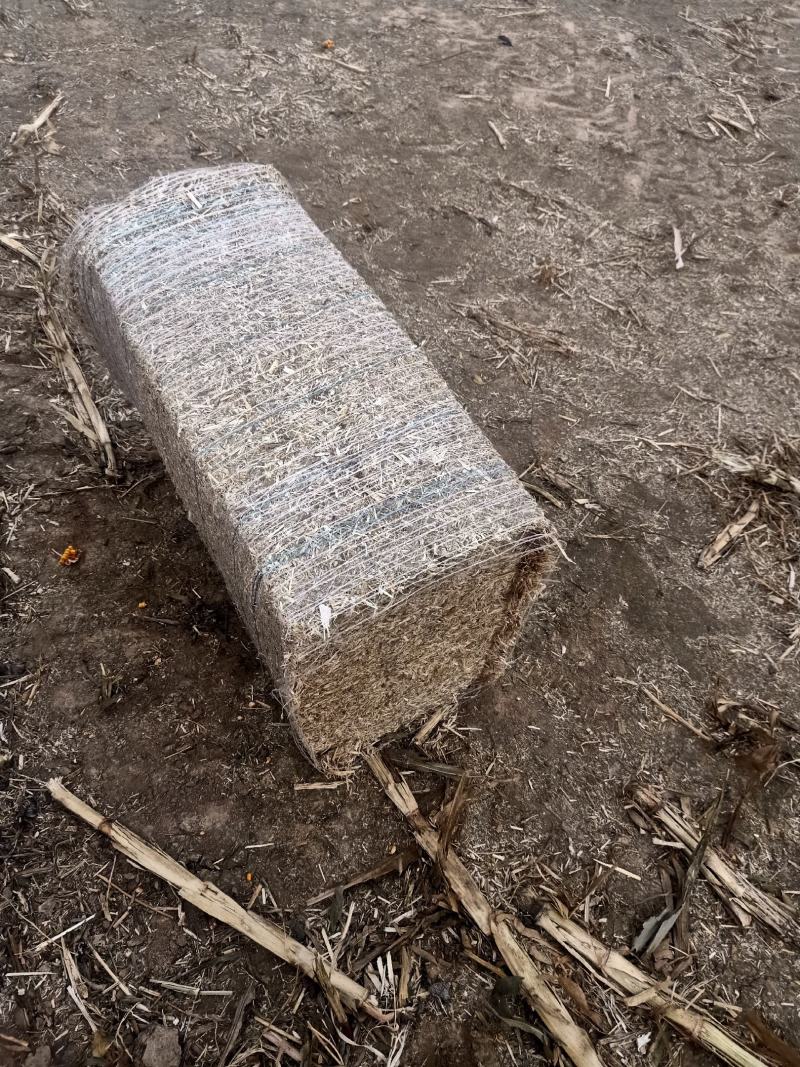 玉米秸秆