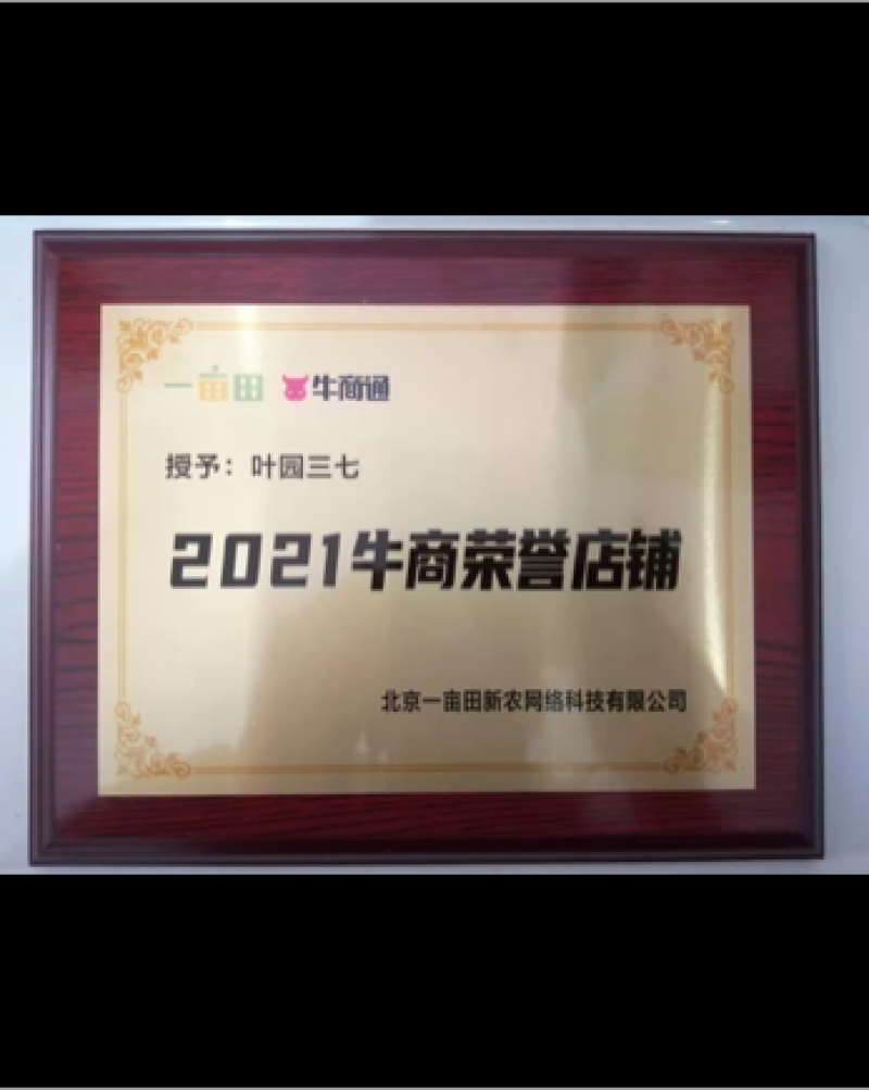 2024年新三七花云南文山三七花茶田七花500包邮