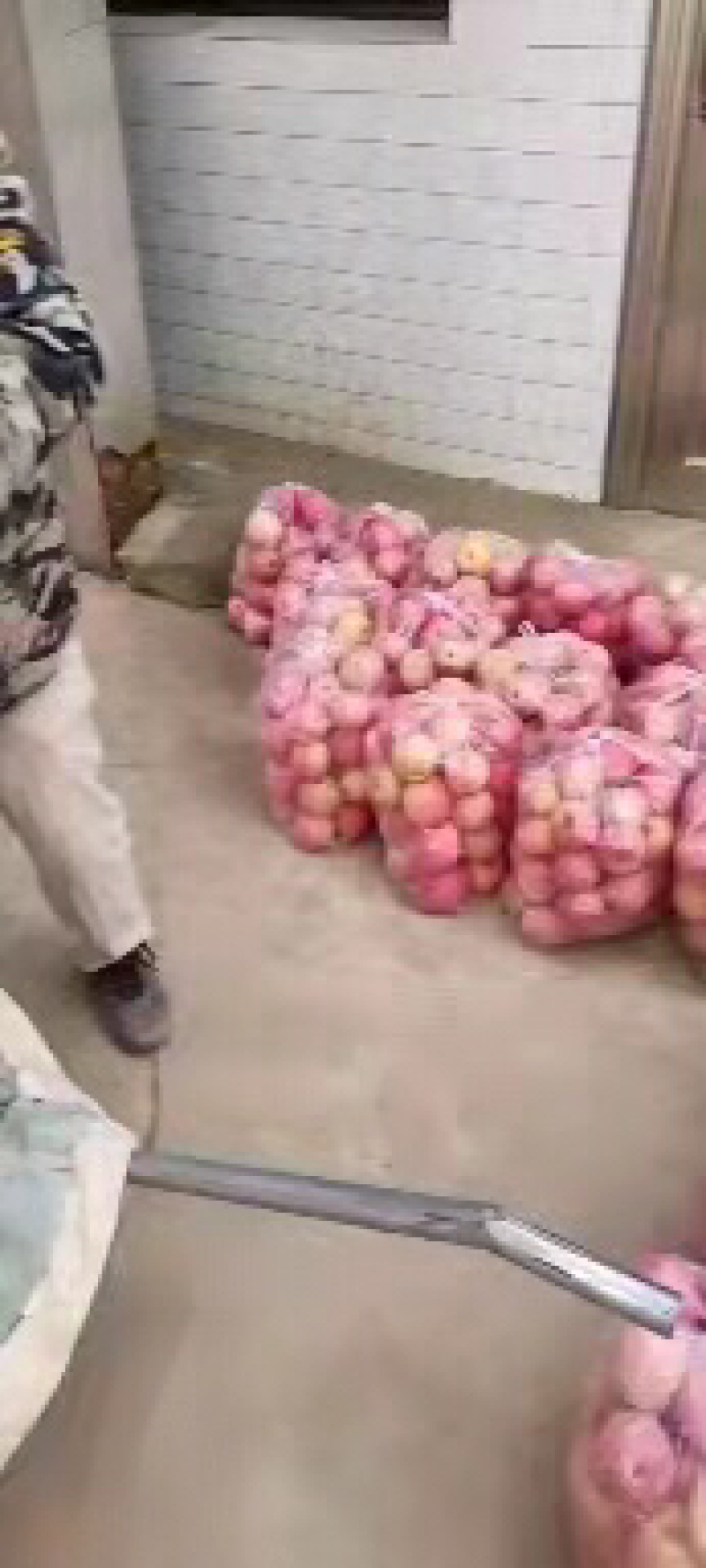 纸袋苹果4毛钱大量有货要的速度联系