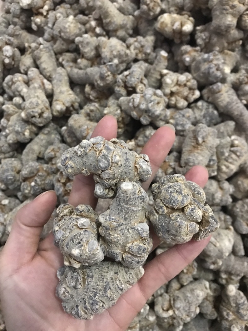 云南文山三七粉正宗文山三七超细粉500克正品包邮