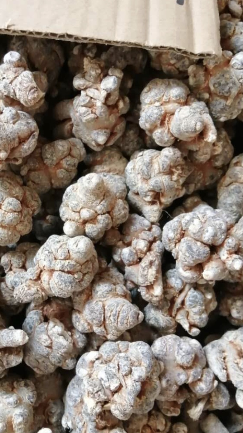 云南文山三七粉正宗文山三七超细粉500克正品包邮