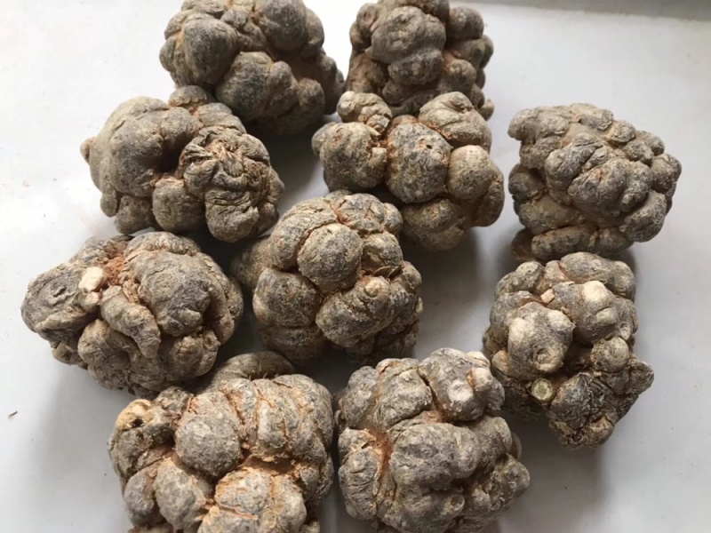 云南文山三七粉正宗文山三七超细粉500克正品包邮
