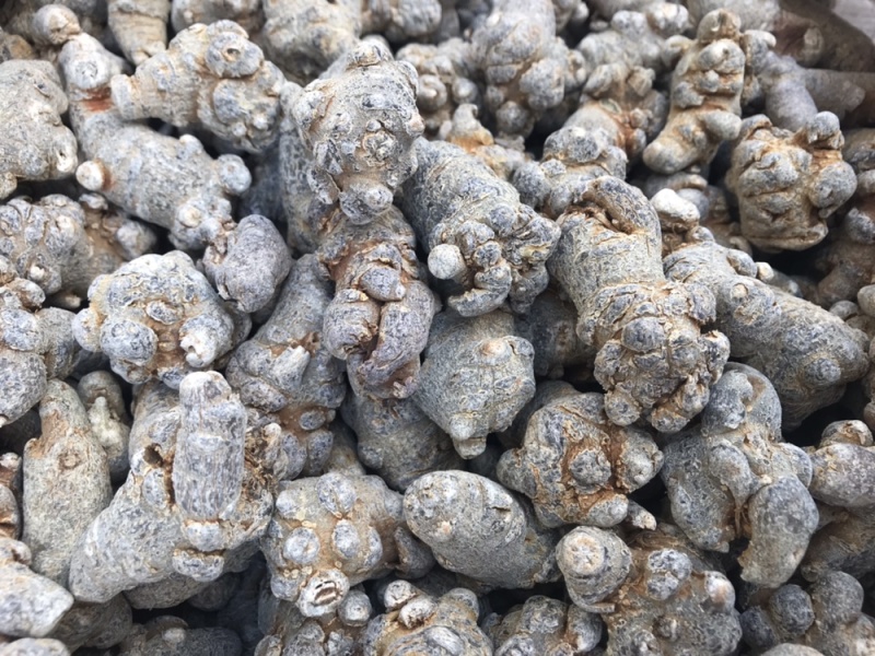 云南文山三七粉正宗文山三七超细粉500克正品包邮