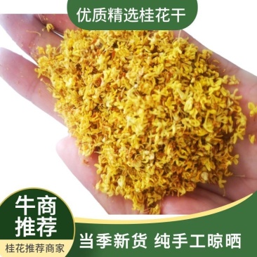 干桂花，有无硫花，自己加工，一手货源价格优惠