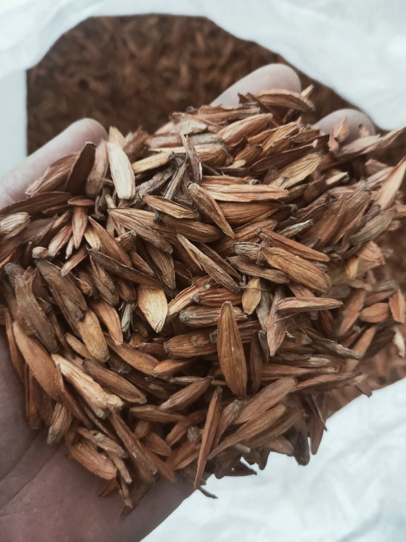 新货喜树果中药代抓药方货好量大不满意可以退换货
