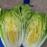 玲珑大白菜