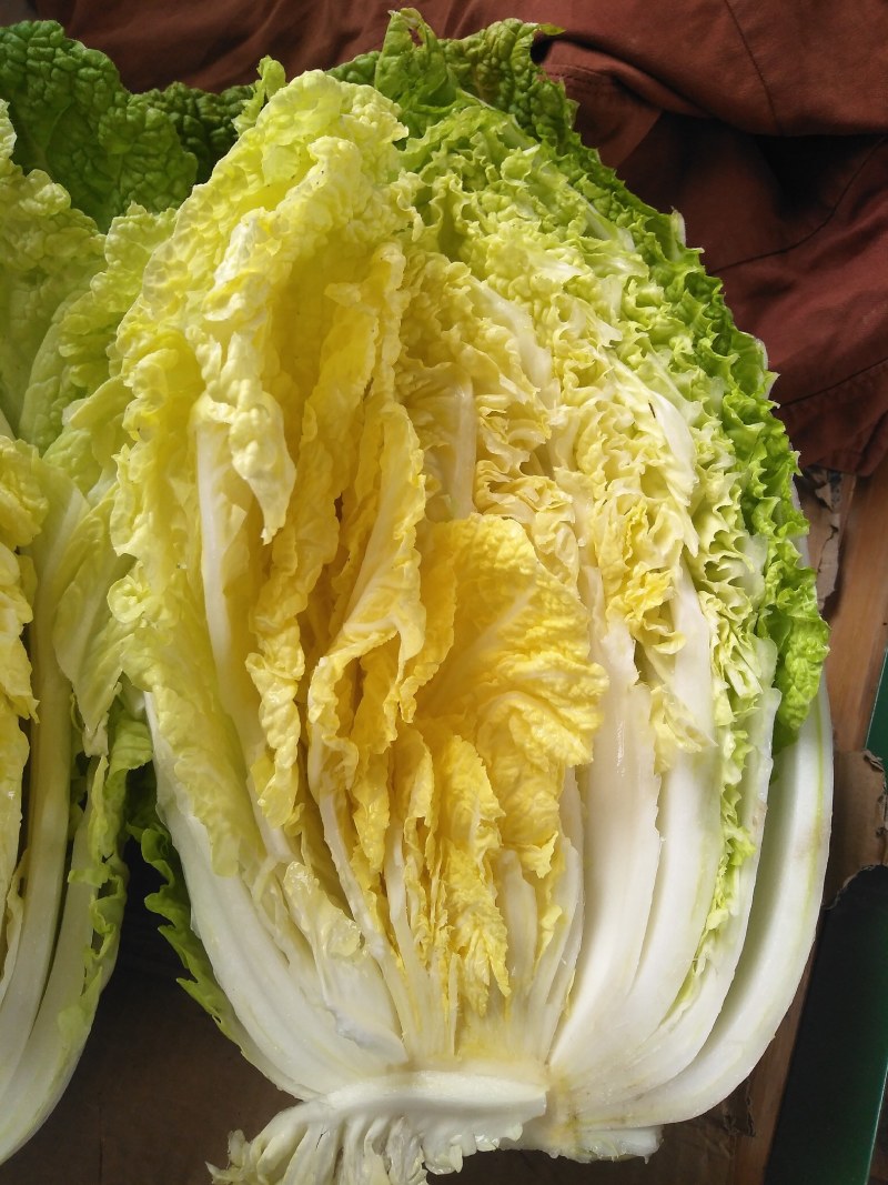 黄心白菜，无空心，无虫眼