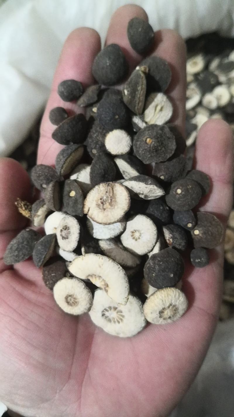 枳实高含量枳实干货不满意可退换货