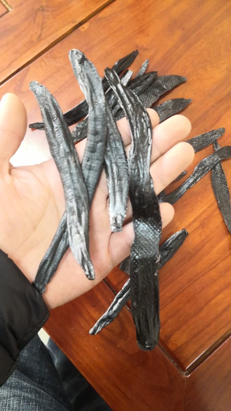 【包邮】水蛭蚂蟥水蛭干水蛭粉清水水蛭金边水蛭水蛭