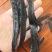【包邮】水蛭蚂蟥水蛭干水蛭粉清水水蛭金边水蛭水蛭