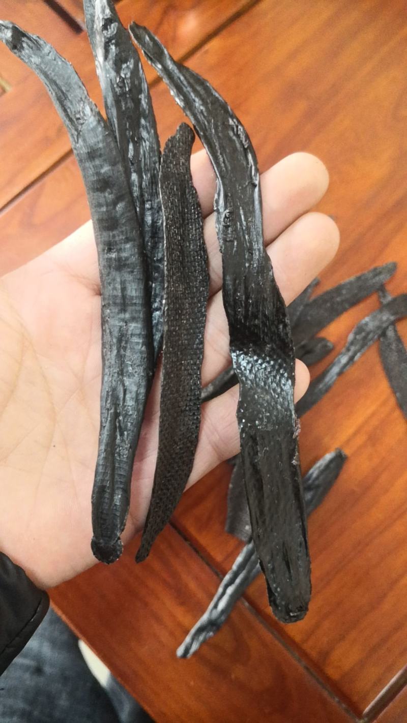 【包邮】水蛭蚂蟥水蛭干水蛭粉清水水蛭金边水蛭水蛭