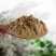 现磨野生正品吴茱萸粉打粉超细破壁粉高品质特级中药材
