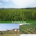 黄花菜种苗祁东黄花菜苗金针菜苗四季种植根大粗漓易成活