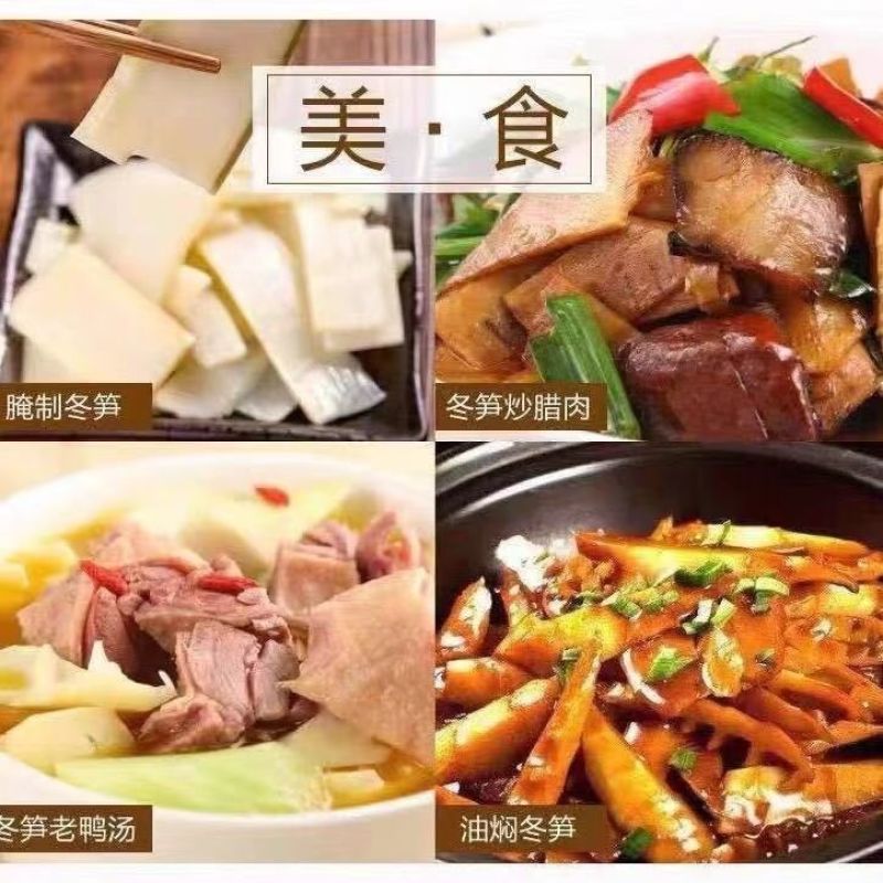 江西新鲜现挖冬笋两头尖野生黄泥拱带壳竹笋去老根楠毛竹笋大