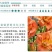 大花萱草种子四季易种庭院阳台种子景观花海