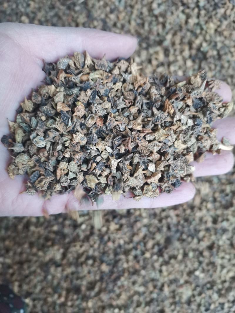 【诺一药材】炒蒺藜精品药材1公斤起售