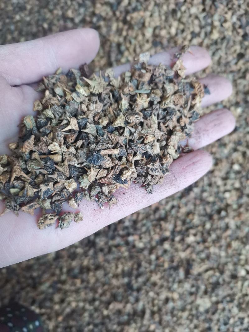 【诺一药材】炒蒺藜精品药材1公斤起售