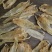 26头阴阳公鱼胶花胶色泽白净金黄足干上等品质