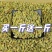 【买一斤送一斤】超低价新疆葡萄干大颗粒无核葡萄干批发零食