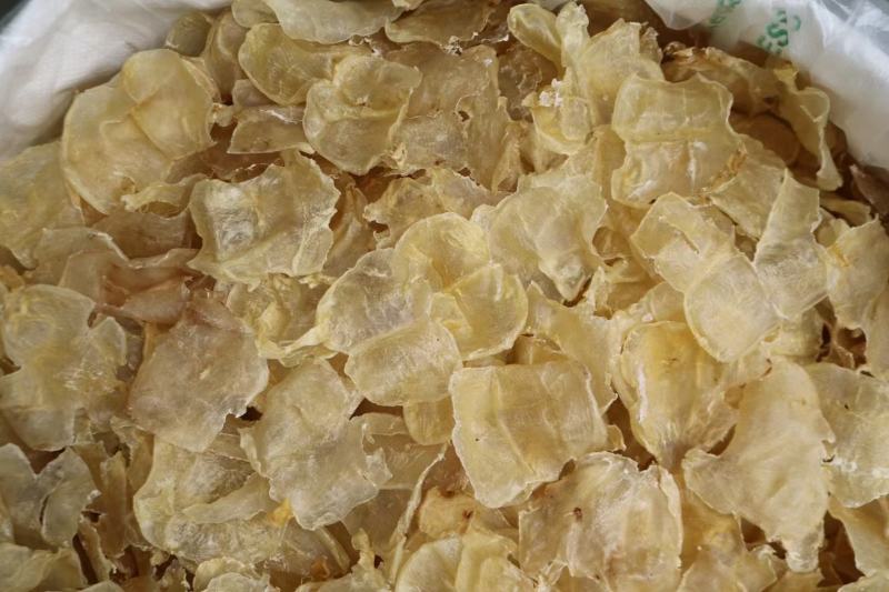 65头蝴蝶肚足干货颜色通透没有血迹干净白净鱼胶花胶