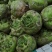 【推荐】汝州市芥菜从十月份以后大量上市货源充足