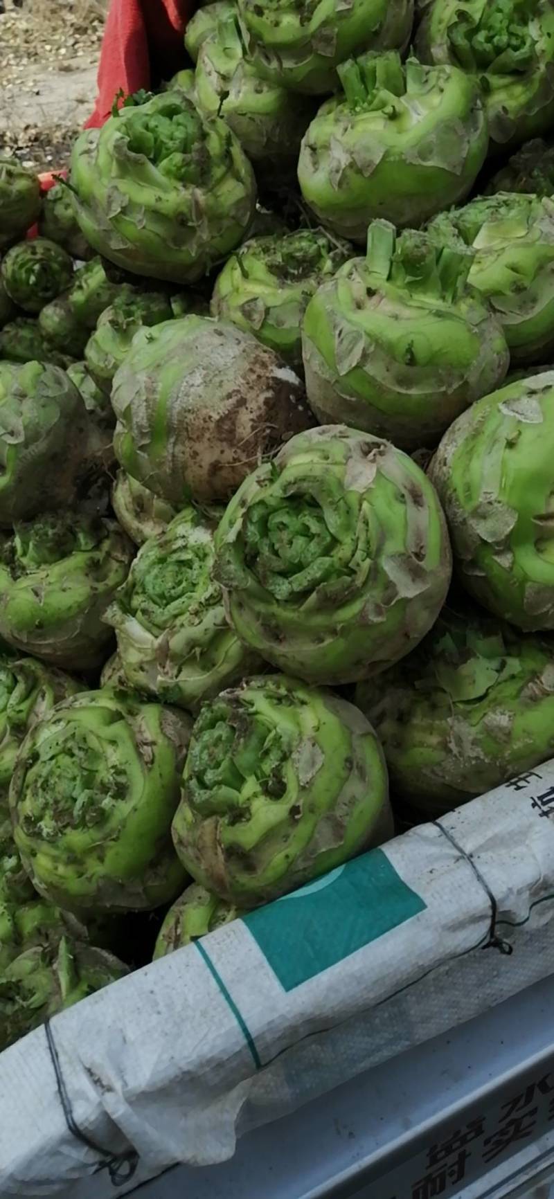 【推荐】汝州市芥菜从十月份以后大量上市货源充足